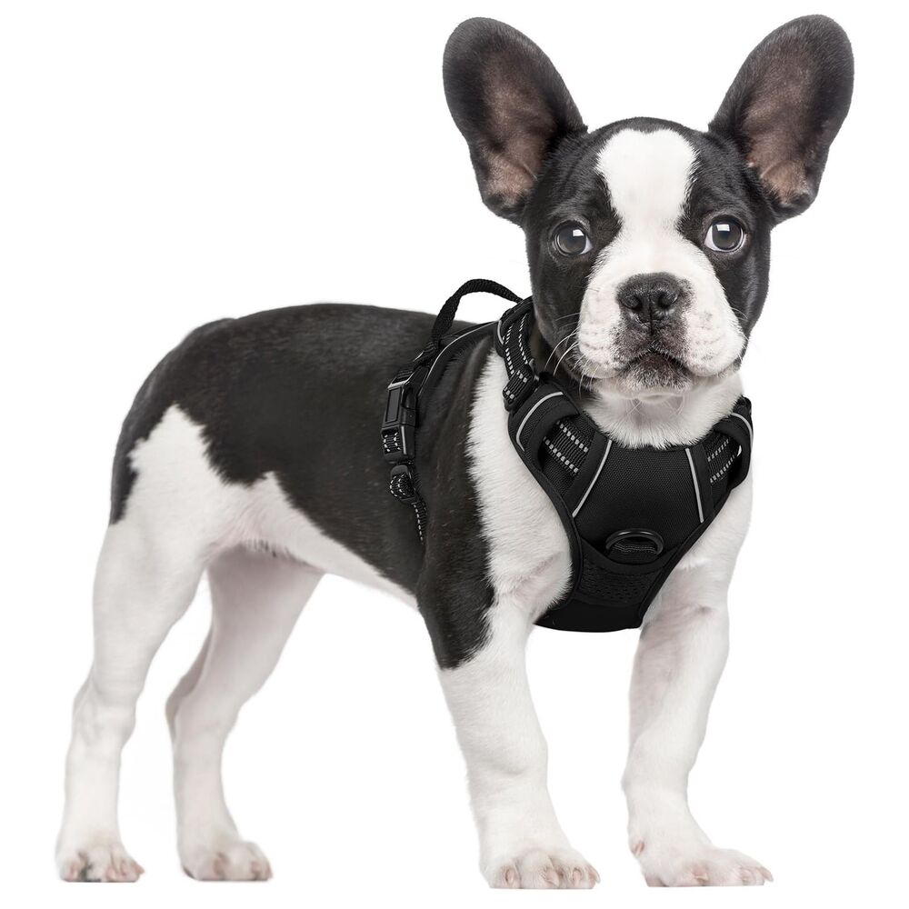 rabbitgoo Small Dog Harness No Pull Adjustable Reflective Vest Breathable Black